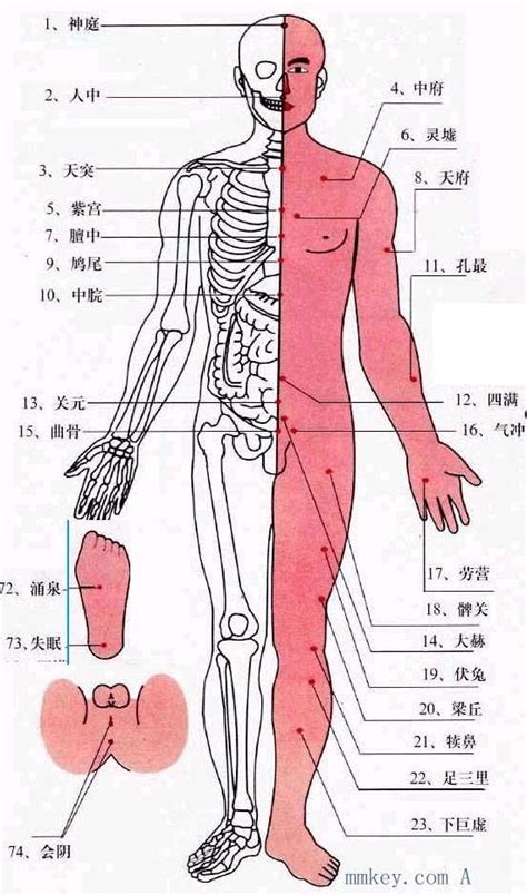 穴位|人体常见50个穴位位置、作用、按摩手法，图文取穴，。